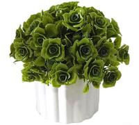 Artificial Bonsai, 16cm x 17cm Plastic Potted Plant, Lifelike Rose Flower, Low Maintenance Dr, Sturdy Fade Resistant Design, for Home Office Tabletop(Green)