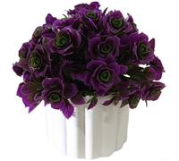 Artificial Bonsai, 16cm x 17cm Plastic Potted Plant, Lifelike Rose Flower, Low Maintenance Dr, Sturdy Fade Resistant Design, for Home Office Tabletop(Red)