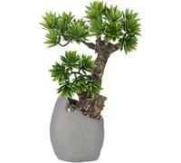 Artificial Bonsai Podocarpus Tree - 35cm Tall