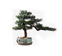 Artificial Bonsai Tree Artificial Bonsai Tree Fake Plant Ceramic Potted Plant Pebble Bonsai Ceramic Base Home Office Interior Decoration Ornaments Simulation Bonsai Trees