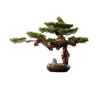 Artificial Bonsai Tree Chinese Artificial Bonsai Tree Living Room Simulation Plant Indoor Welcome Pine Green Ceramic Pot Fake Desktop Ornaments