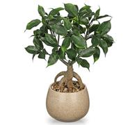 Artificial Bonsai Tree Fake Small Ficus Plant with Ceramic Pot Indoor Plant