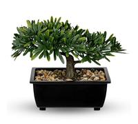 Artificial Bonsai Tree, Faux Ficus Plant with Pebbles, Zen Desk Decor