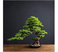 Artificial Bonsai Tree Green Plant Simulation Big Bonsai Welcome Pine Fake Plant Indoor Garden Home Office Desktop Decoration Simulation Tree Ornaments Bonsai Tree