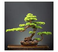 Artificial Bonsai Tree - Large Indoor Fake Plant for Home Office Decor, Rustic Potted Green Flower for Farmhouse and Room Decoration
