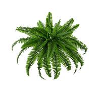 Artificial Boston Fern Large Outdoor, Boston Fern Artificial Outdoor Plants Large, Uv Resistant Artificial Plants Outdoor, Fake Bush Plants Larges for Indoors, Home, Farmhouse Garden (90*53cm)
