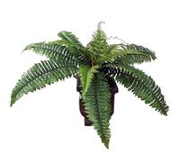 Artificial Boston Fern - Realistic Drooping Tall Plants, Non Fading Boston Fern Plant | Outdoor Fake Lifelike Fake Flowers, Uv Resistant Faux Branches Boston Fern Decoration For Entrance, Porch, Home