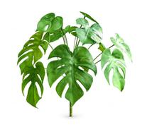 Artificial Bouquet, Faux Decor, 12-leaf monstera, 42cm | Polypropylene Material, Artificial Foliage Bouquet, Storefront Decoration, For Backdrop Stylists
