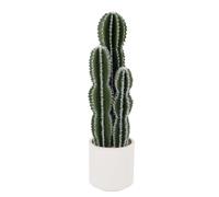 Artificial Cactus in Pot 84 x 22 cm, Artificial Plant Cactus with Stone, Decorative Desert Cacti, Plastic Succulents Plants for Office, Living Room, Home Decoration