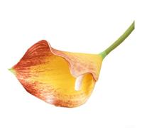 Artificial Calla Lilies in EVA, Realistic Faux Flowers for Home Decor, Wedding Centerpieces, Bridal Bouquets, Sturdy Stems, No Maintenance Needed, 47-48cm Height, for IDEAL for Events(Orange)