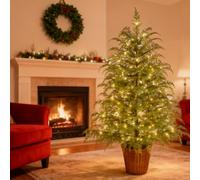 Artificial Cedar Trees for Outdoors with Lights,Pre-Lit Green Cypress Christmas Tree,Realistic PE Branch Pine Plants Pot,Xmas Home Front Porch Decor,Office Garden Indoor Use (4FT, 1 Pack)