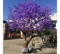 Artificial Cherry Blossom Tree - Fake Plant for Home Office and Living Room Decor, Perfect for Ecological Gardens and Housewarming Gifts