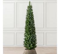 Artificial Christmas Tree Slim Pencil Frosted Snowy Spruce Christow 6Ft