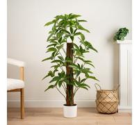 Artificial Climbing Umbrella Plant in White Plant Pot