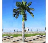 Artificial Coconut Palm Tree, UV Resistant Fake Plant, Realistic Patio Garden Poolside Decor(4.5m/14.7FT)