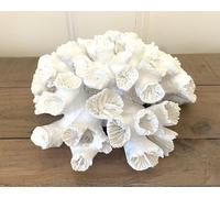 Artificial Coral Ornament, Resin Faux Coral Aquarium Decor White Coral Reef Decor Decorative Sea Coral Stony Coral Realistic Underwater Sea Plant for Fish Tank Decoration, Bathroom (Short Coral)
