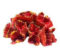 Artificial Coral Plant Polyresin Coral Reef Ornaments Aquarium Decor for Fish for Tank Landscape Decoration 2.7"x2.4"x1. Tank Thermometers Digital Magnet Probe Glass Ornaments Tanks Heater Gravel Wool