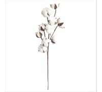 Artificial Cotton Stem Flowers 10 Pack for Home Decor and Wedding Bouquets with Realistic Natural Aesthetic Simple Arrangement Flexible Stems White