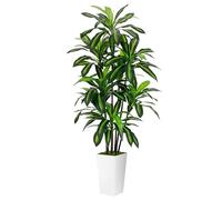 Artificial Dracaena Plant 6FT - Fake Tree with White Tall Planter - Faux Yucca Tall Fake Floor Plant in Pot - Artificial Trees for Home Office Living Room Decor Indoor