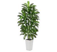 Artificial Dracaena Plant Indoor, 6FT Fake Tree with Tall White Planter