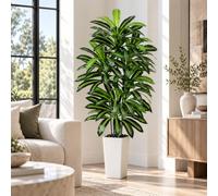 Artificial Dracaena Plant Indoor, 6FT Fake Tree with Tall White Planter | Tall Yucca Fake Floor Plant in Pot, Large Faux Silk Plant for Home Decor Office Living Room Porch Patio Housewarming