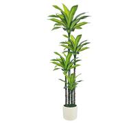 Artificial Dracaena Tree 180cm, Tall Fake Dracaena Plants Indoor with White Planter, Faux Dragon Tree Indoor Floor Plant for Home Decor Office Living Room Porch Housewarming