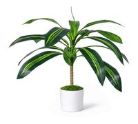 Artificial Dracaena Tree 2ft, Fake Plants, Artificial Plants Indoor
