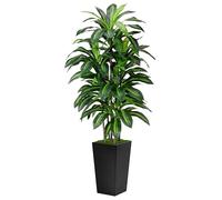 Artificial Dracaena Tree 5FT - Fake Tree with Black Tall Planter - Faux Yucca Tall Fake Floor Plant in Pot - Artificial Plant for Home Office Living Room Decor Indoor