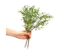 Artificial Eucalyptus Leaves 35cm Realistic Plastic Bunch(Green)