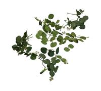 Artificial Eucalyptus Leaves Silk Flower Greenery Stems for Home Decor and Flower Arrangement, 20-Pack Realistic Green Foliage with Nat