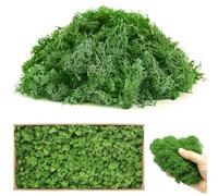 Artificial Fake Moss Bulk 600g, Preserved Reindeer Mosses for Potted Plants, Greenery Moss Faux Green Mosses for Easter DIY Crafts Garden Art Wall Table Decoration