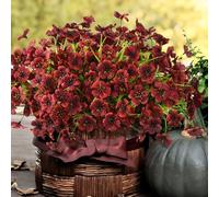 Artificial Fake Plants Flowers for Outdoor Outside Fall Decoration,24 Bundles Faux Silk Daisy in Planter UV Resistant Look Real for Home Front Door Porch Patio Garden Balcony Autumn Decor(Brown)