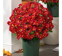 Artificial Fall Flowers Fake Daisy for Outdoors Look Real No Fade Faux Autumn Plants with Eucalyptus for Indoor Outside Home Garden Porch Patio Autumn Decor (Red, 5 Bundles)