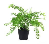 Artificial Fern Plant Pot Maidenhair Fern 35cm Leaf Design UK Realistic Plant Botanik Leaf Green One Size
