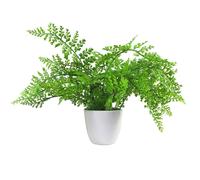 Artificial Fern Plant Pot Royal Fern 30Cm Leaf Design UK Realistic Plants Botanik, Green