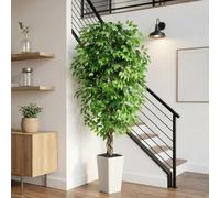 Artificial Ficus Tree 6FT, Fake Plants Indoor with White Pot and Pebbles | Faux Plants with 1242 Lifelike Green Leaves, Realistic Floor Silk Plant for Home Living Room Bedroom Office Entryway Decor