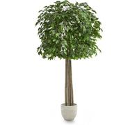 Artificial Fig Tree 190 Cm Maia Decorative Artificial Plant With Natural Trunk