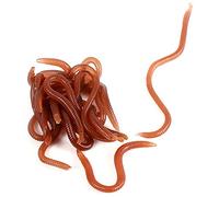 Artificial Fishing Worms Night Crawlers 10cm Worm Shaped Fishy Smell Soft Fishing Lure Baits Artificial Earthworm with Box for Fishermen Lure