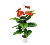 Artificial Flamingo Flower - 85cm - Realistic with Pot - Palm Tree, Monstera, Fern - Artificial Plant for Home & Office - Decoration & Gift Idea