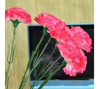 Artificial Flowers 12pcs Carnations Flowers Silk Hydrangea Bridal Wedding Bouquet for Home Garden Party Office Coffee House Decorations (red)