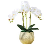 Artificial flowers Artificial Flower Artificial Phalaenopsis Flowers Simple Fashion Orchids Artificial Artificial Vivid Flowers Perfect Home Decorate Beautiful Shape,