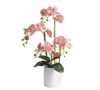 Artificial flowers Artificial Flower in Pot Artificial Silk Moth Orchid Flowers Potting in Matte Ceramic Vase,Natural Looking Phalaenopsis Flowers