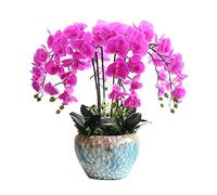 Artificial flowers bouquet Artificial Orchid Red Silk Orchids Plant artificial flowers Flowers Faux Flower With Vase Table Centerpieces For Home D ()