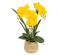 artificial flowers Flowers Artificial Flower with ceramics Vase Faux Orchids 54cm Artificial artificial flowers Flowers PU Fake Floral Home Artificial O (Yellow)