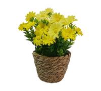 Artificial Flowers Potted - Silk Daisy Arrangement in Rattan Basket Decor| Lifelike Faux Daisy Bonsai Plant for Tabletop Centerpiece, Indoor Home Officce Living Room Decoration Display Pot