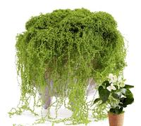 Artificial Foam for Crafts - 300G Artificial Filamentous Moss, Green Lichen | Realistic Fake Greenery and Fake Green Lichen for Terrariums, Planters, Vases, Succu