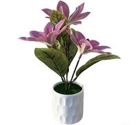Artificial for magnolia Orchid Potted Plant for Home Decor Artificial