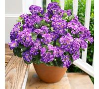 Artificial Geranium Fake Flowers for Outdoors Decoration, 6 Bundles Silk Geraniums Flower UV Resistant Look Real Faux Plants for Outside Planter Front Door Garden Patio Balcony Yard Home, Purple