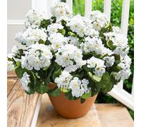Artificial Geranium Fake Flowers for Outdoors Decoration, 6 Bundles Silk Geraniums White Flower UV Resistant Look Real Faux Plants for Front Door Garden Porch Planter Patio Balcony Yard Indoor Home