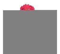 Artificial Geranium Flowers, Fake Outdoor Artificial Geranium, Delicate and Beautiful Flower Arrangement Decoration for Dining Rooms, Weddings, Parties, Living Rooms, Bedrooms